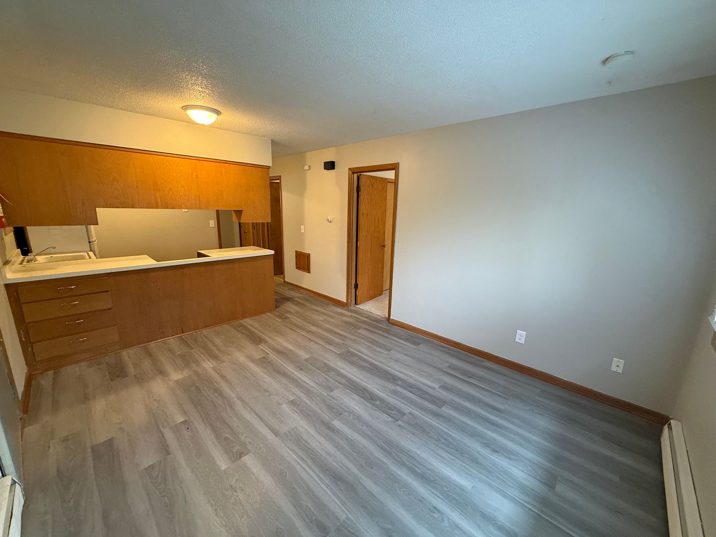 Rochester Apartment: 619 E Center St