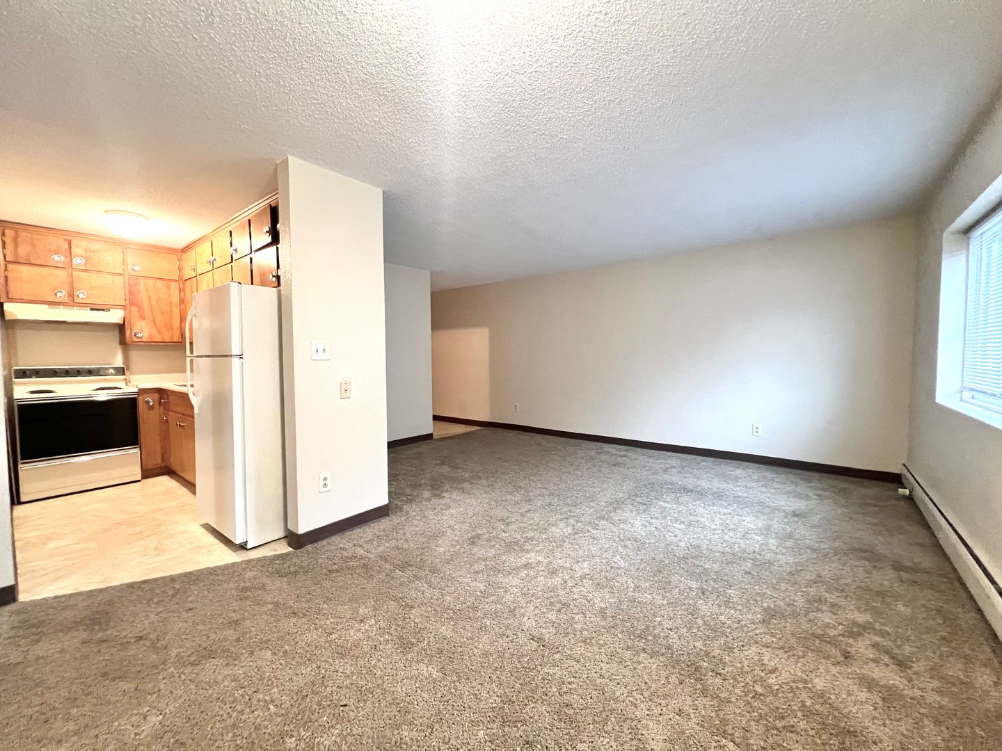 Rochester Apartment: 109 16th St NE