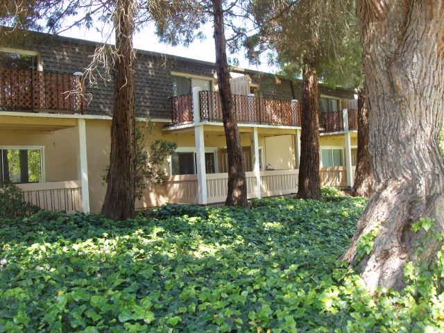 Vallejo Condo: 1459 North Camino Alto