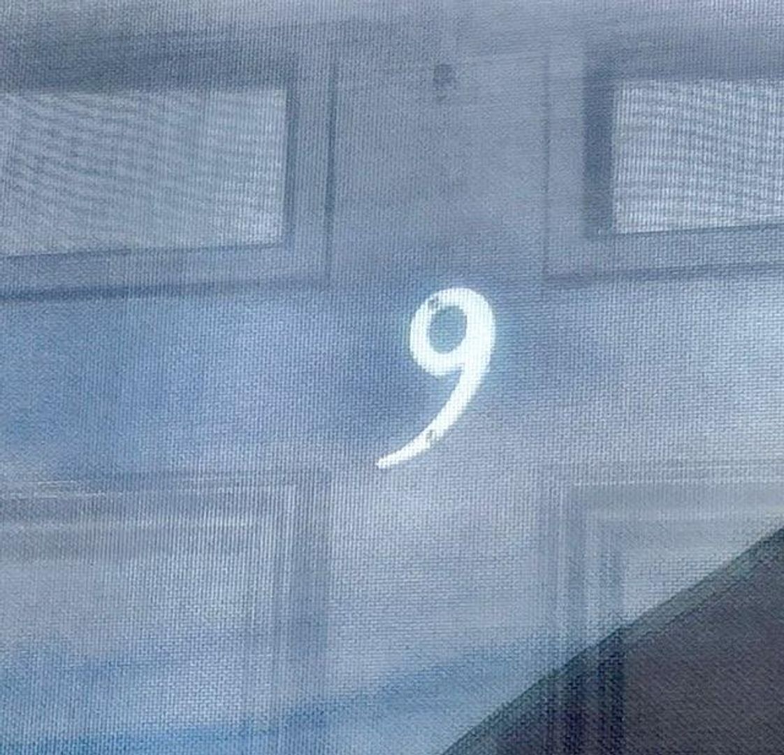 Lynchburg House: 1917 #9 Rainbow Forest