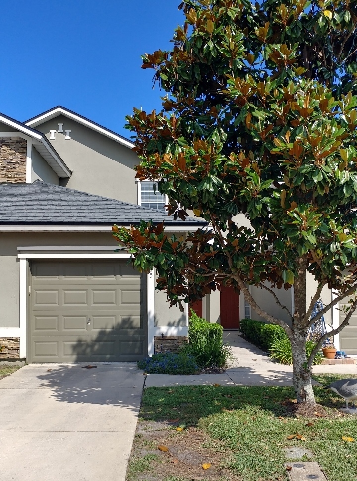 St. Johns Townhome: 295 Leese Drive