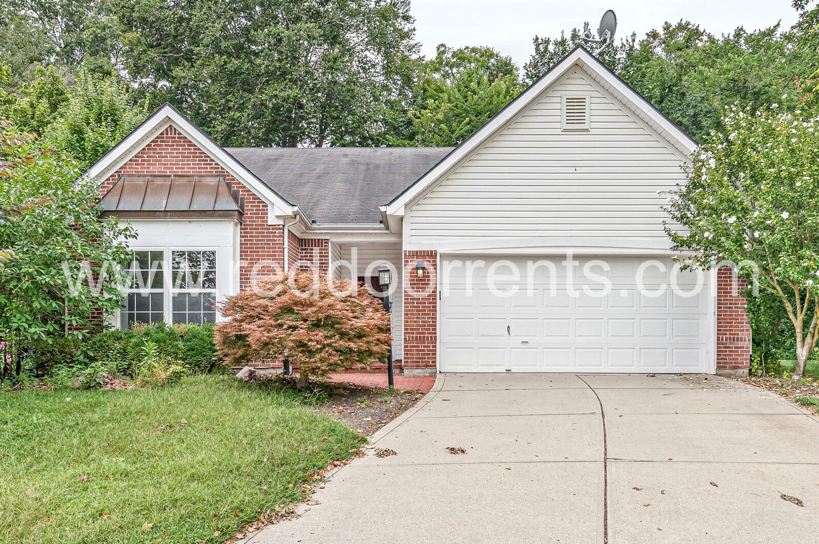5841 Hornbean Court