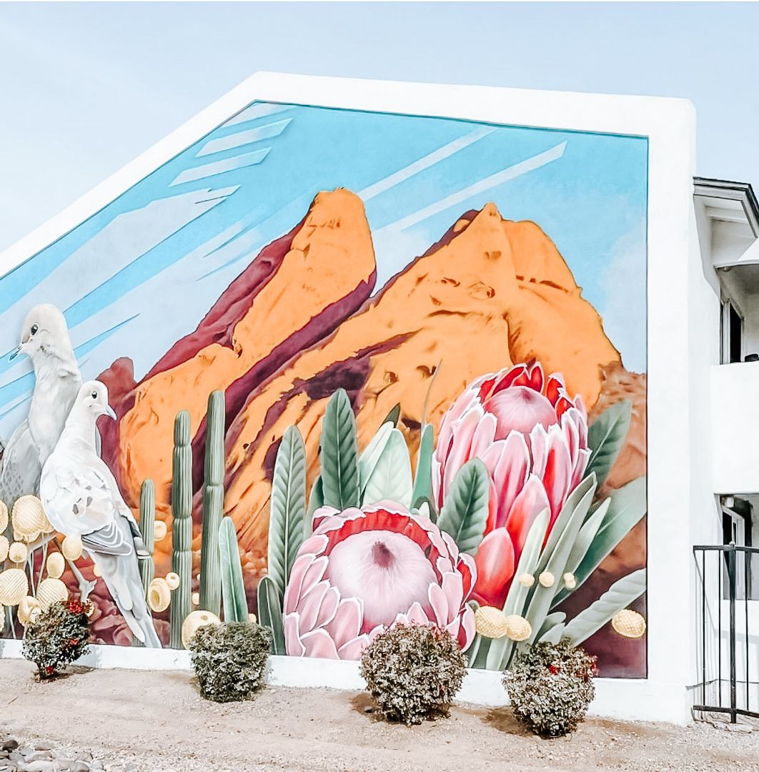 Phoenix Apartment: 1637 N 51st St