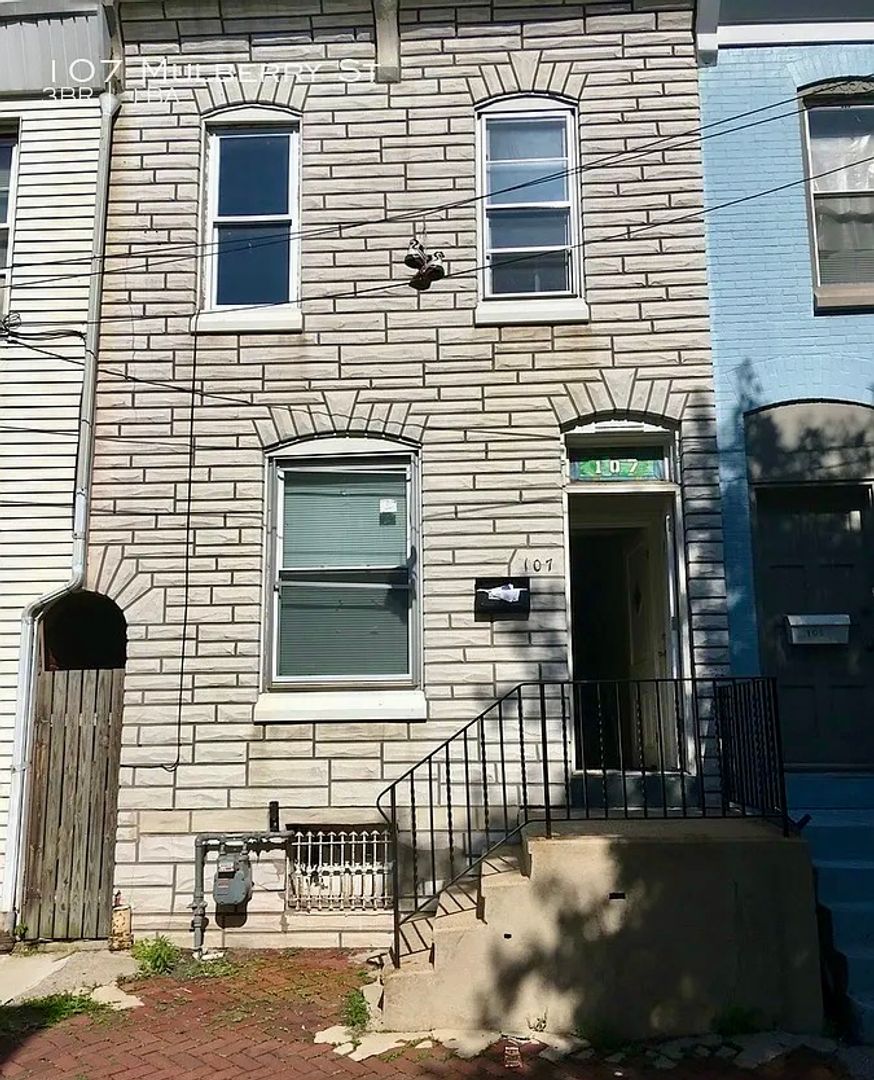 Reading House: 107 Mulberry St