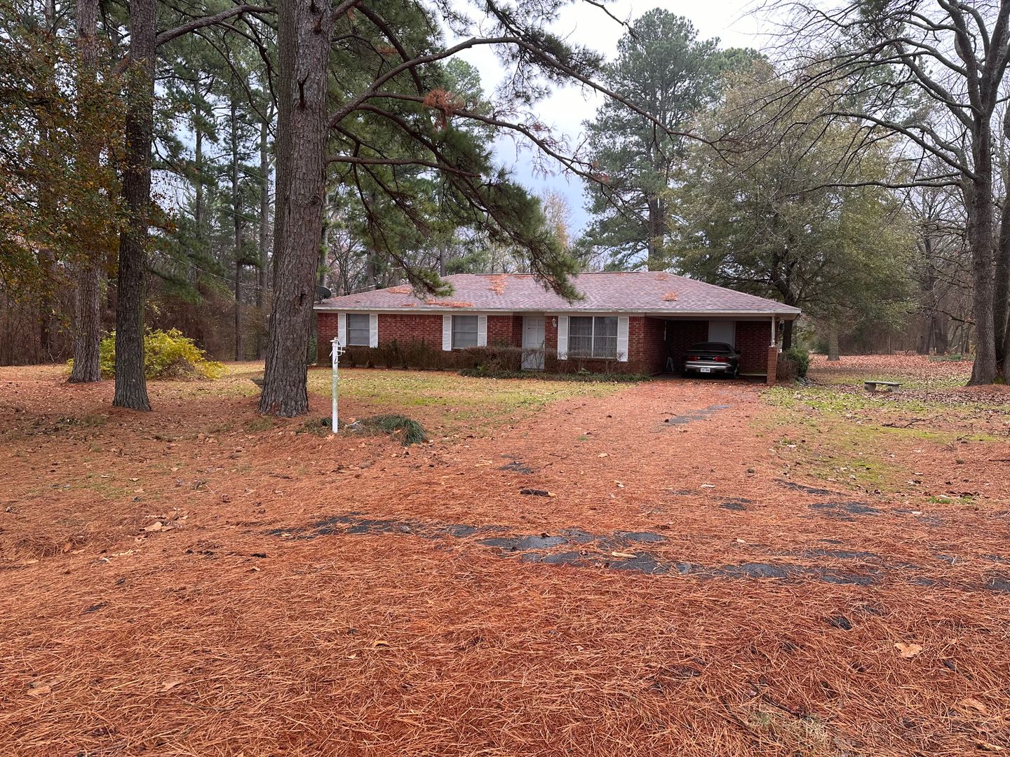 8566 HWY 67 E, Cookville, TX 75558