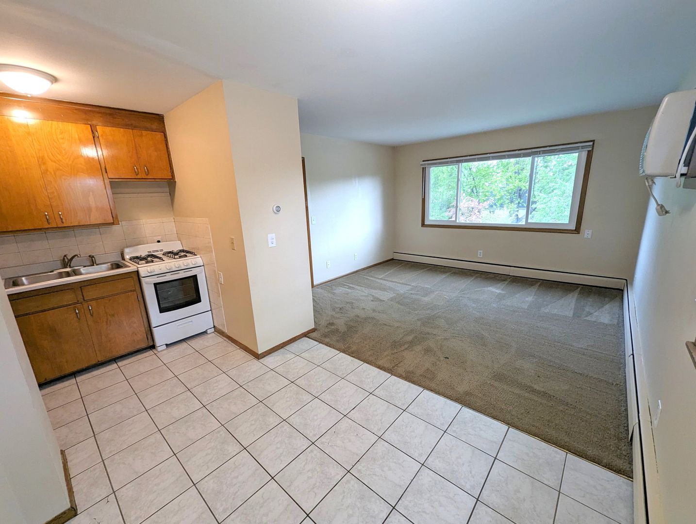 Columbia Heights Apartment: 3915 Lookout Pl