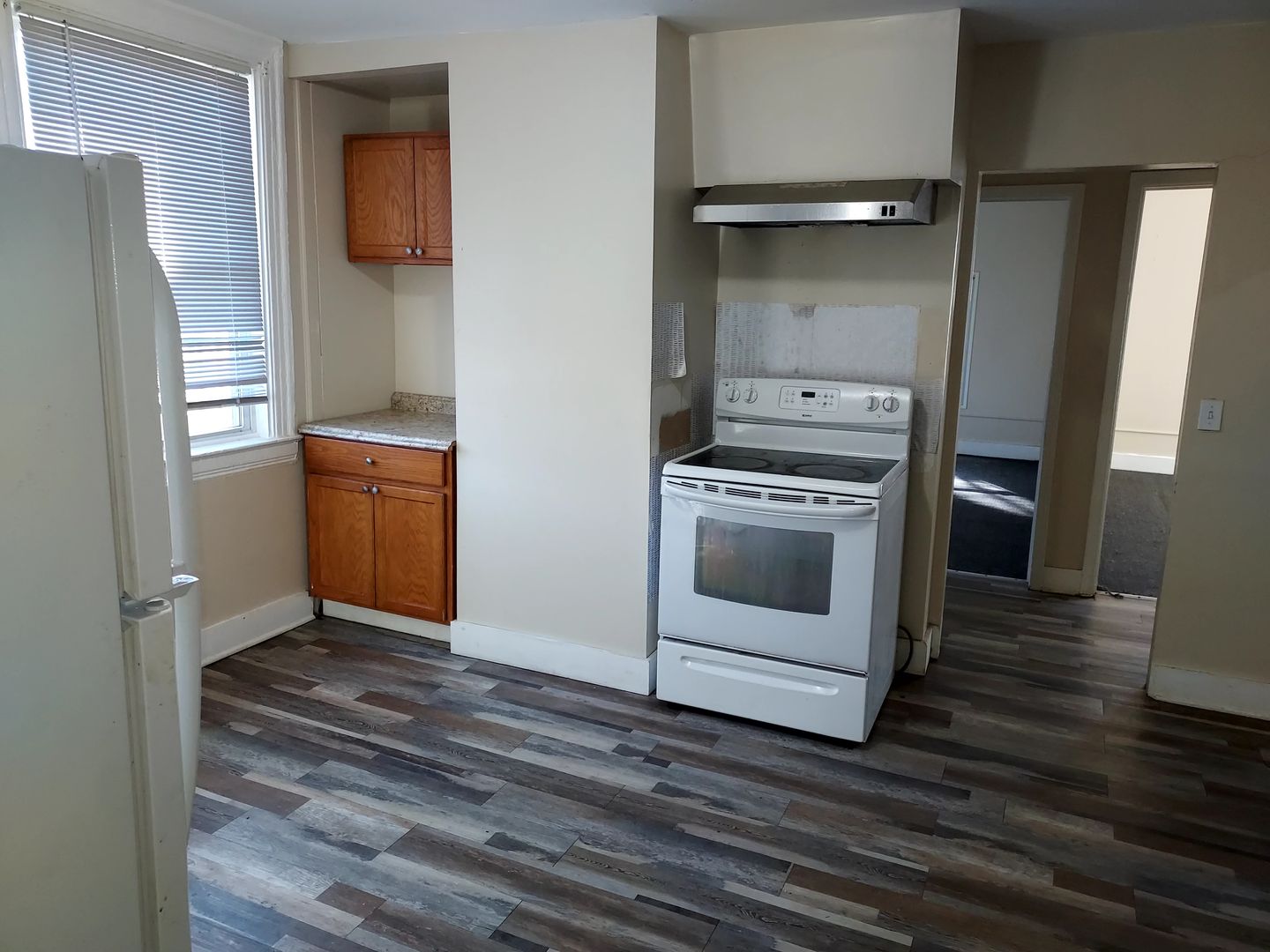 Rochester Apartment: 17 3rd Street