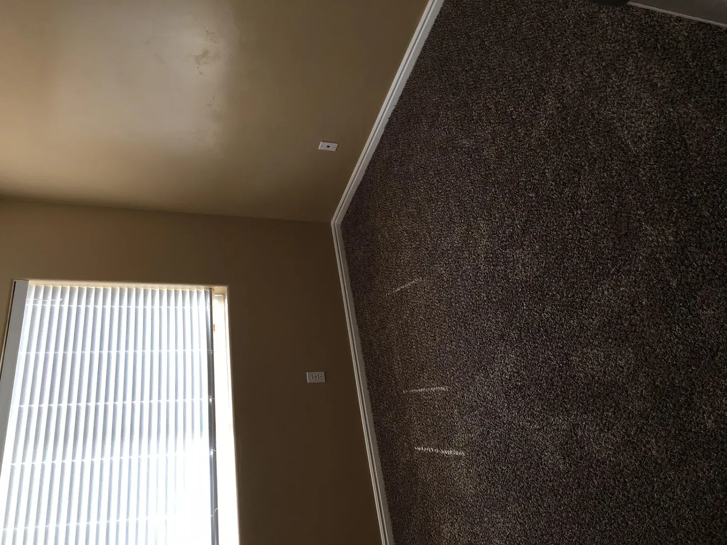 1301 W Indian Hills #6 11 of 12