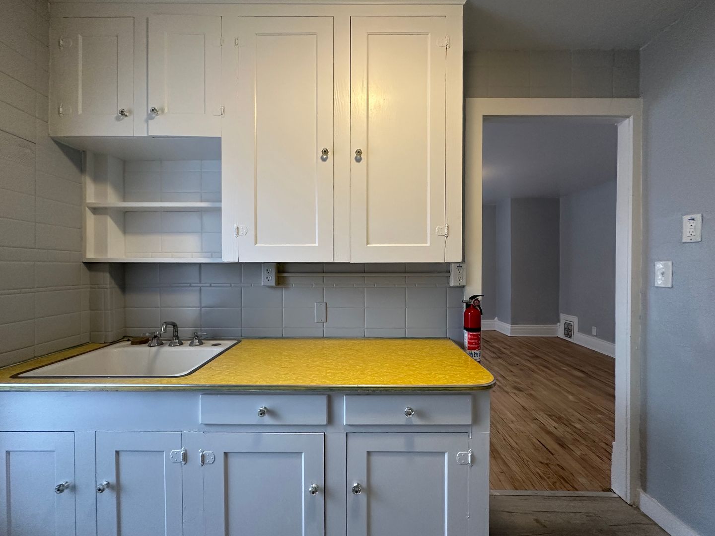 Ypsilanti Apartment: 113 N. Hamilton St.