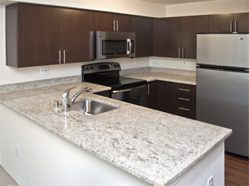 Spacious One Bedroom with Walk-In Closet and In-Unit Laundry! One Month Free! – photo 1