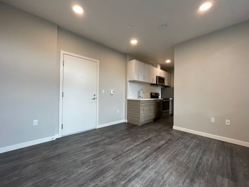 Beautiful, Contemporary Studio Unit! In-unit W/D, Pet-friendly, Private & Secure! – photo 1