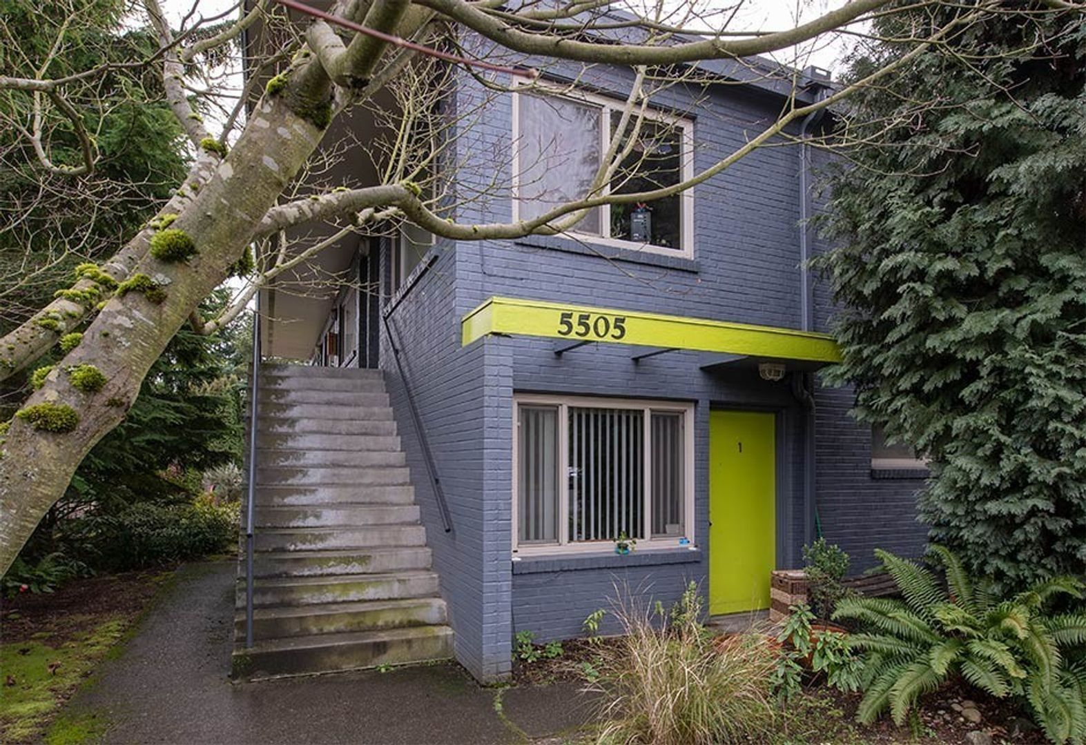 Seattle Apartment: 5505 NE 65th St