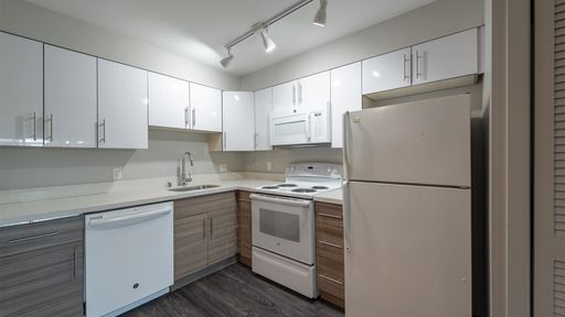 Renovated, W/D in unit, Pet-Friendly & Spacious Units in Secure Building w Private Courtyard! – photo 1
