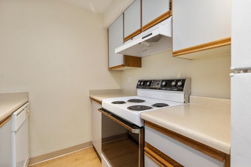 Spacious Studio in Capitol Hill! In-Unit Laundry & Garage Parking Available! Now Offering One Month Free! – photo 1