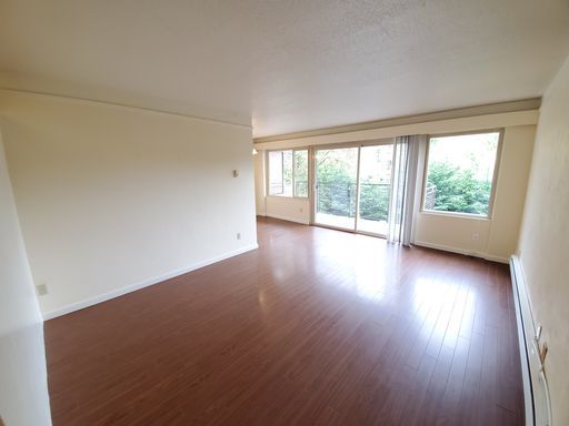Bright and Spacious 2Bed/1Bath Queen Anne Apt – photo 1