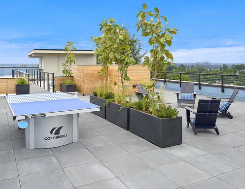 Modern Studio in Capitol Hill! Ask about our specials – photo 1
