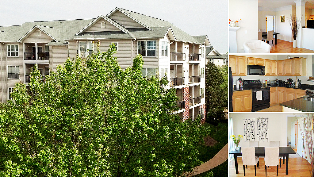 Mclean Condo: 1600 Spring Gate Dr #2303