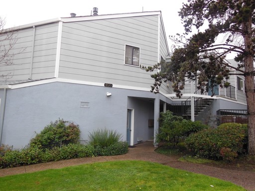 Bright 1BR/1BA Walking Distance to Downtown San Carlos