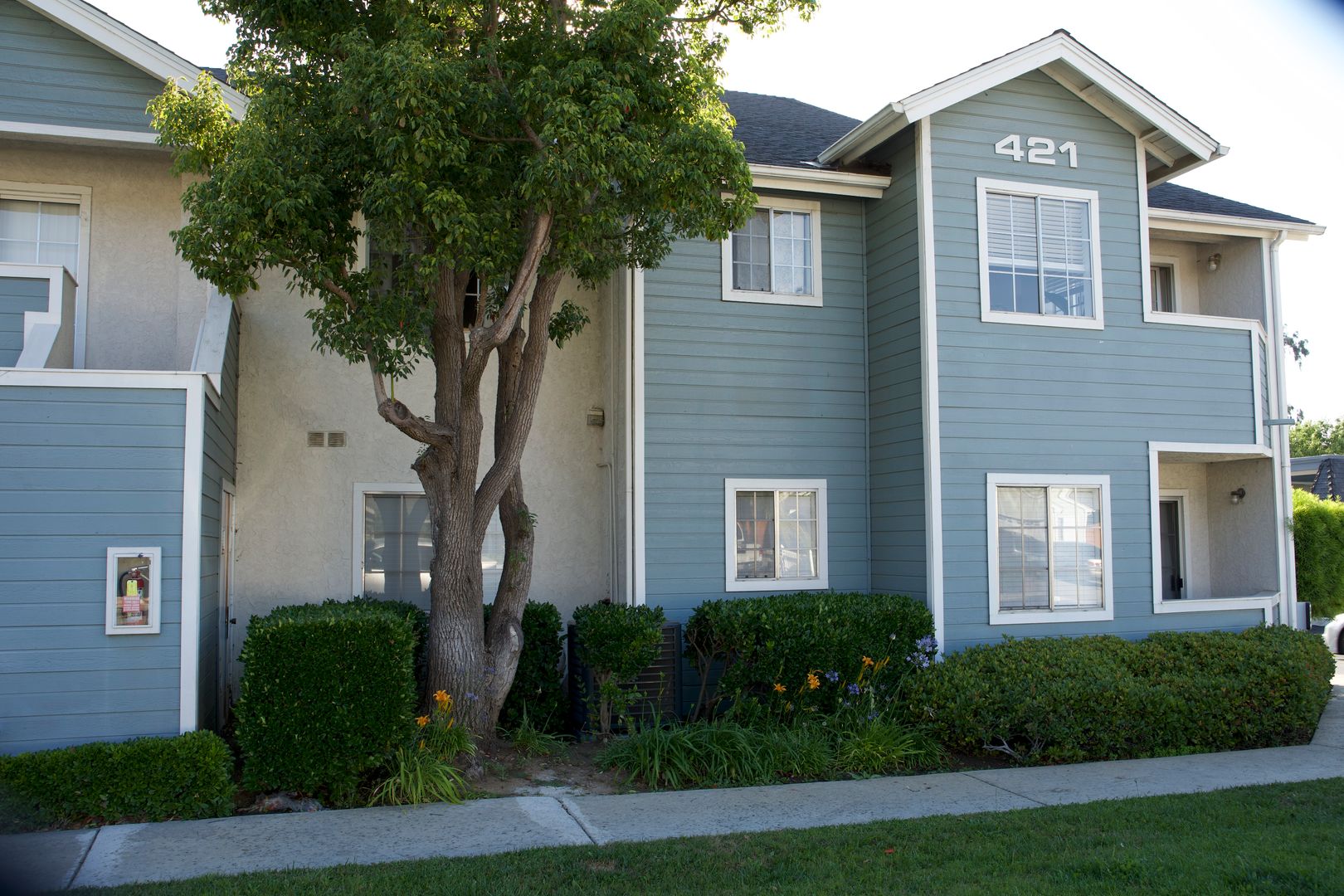 Fallbrook Apartment: 421 Potter St