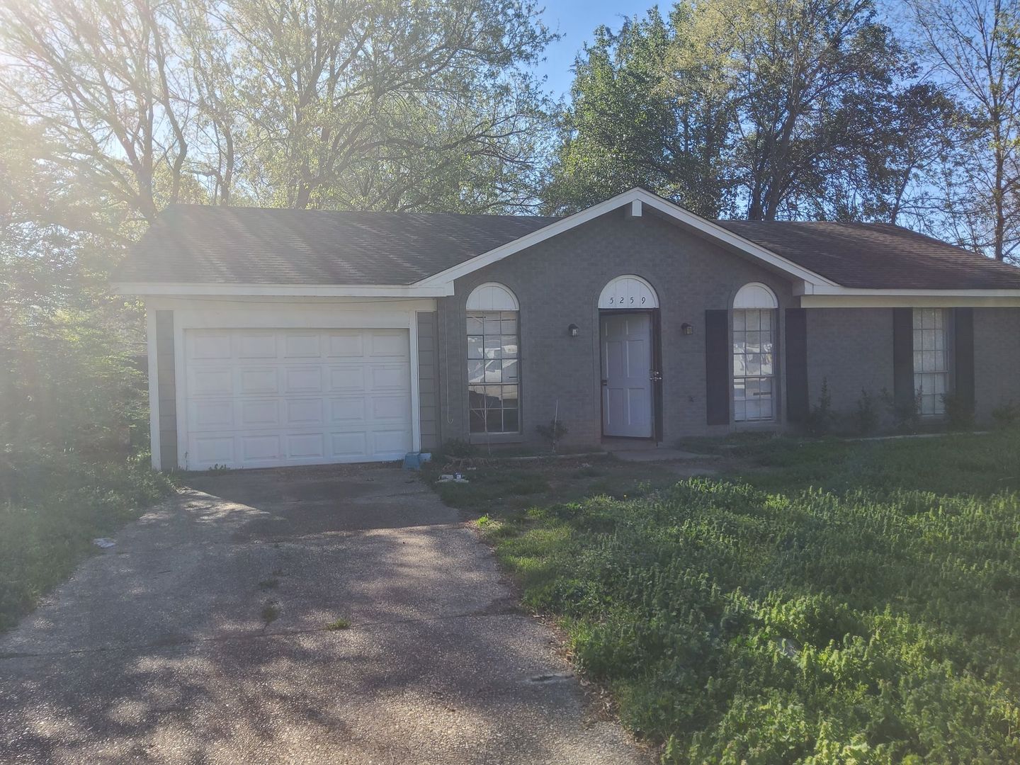 Memphis House: 5259 Cedar Bluff Dr
