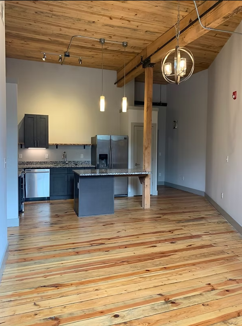 Greenville Apartment: 806 Green Ave