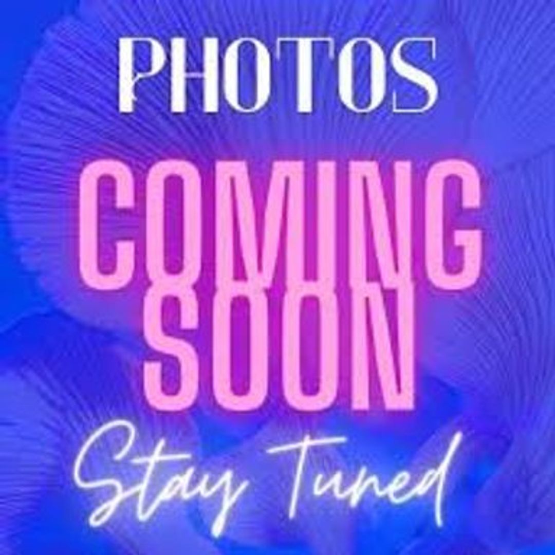 Enterprise House: 118 Juniper Cove