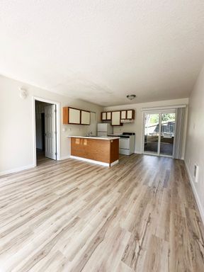 Lower level 1bd Apt, recently refreshed! LVP, new paint and more! – photo 1