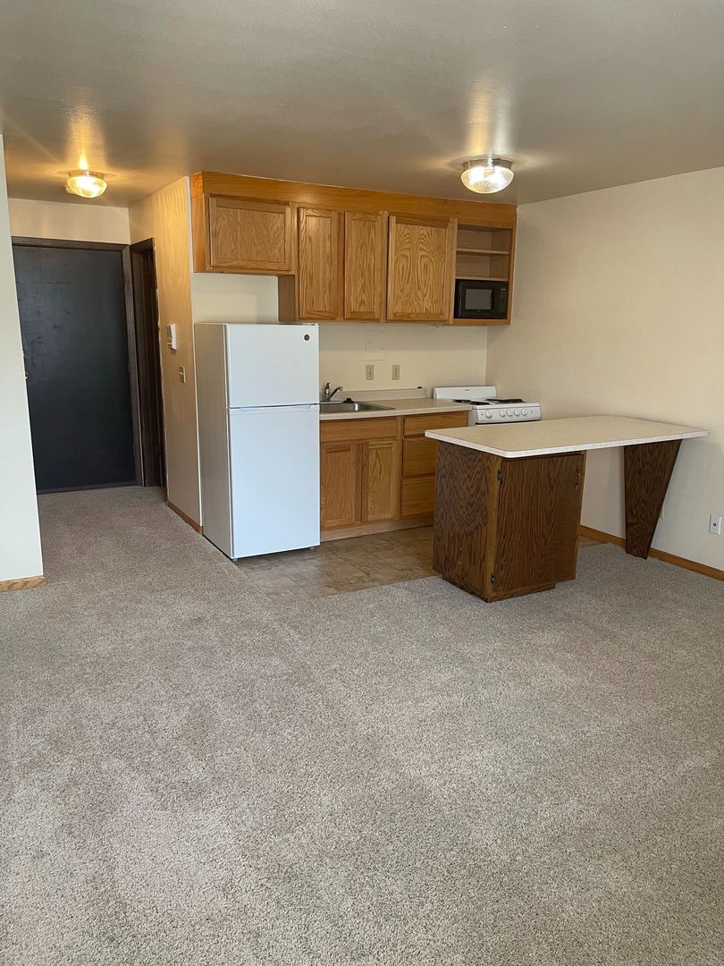 Madison Apartment: 102 N. Franklin Street