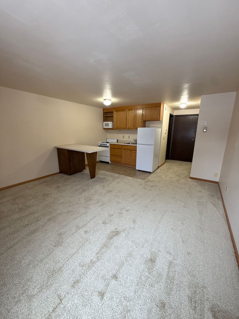 Madison Apartment: 102 N. Franklin Street