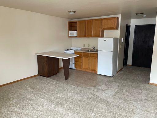 102 N. Franklin Street, #212, Madison, WI 53703