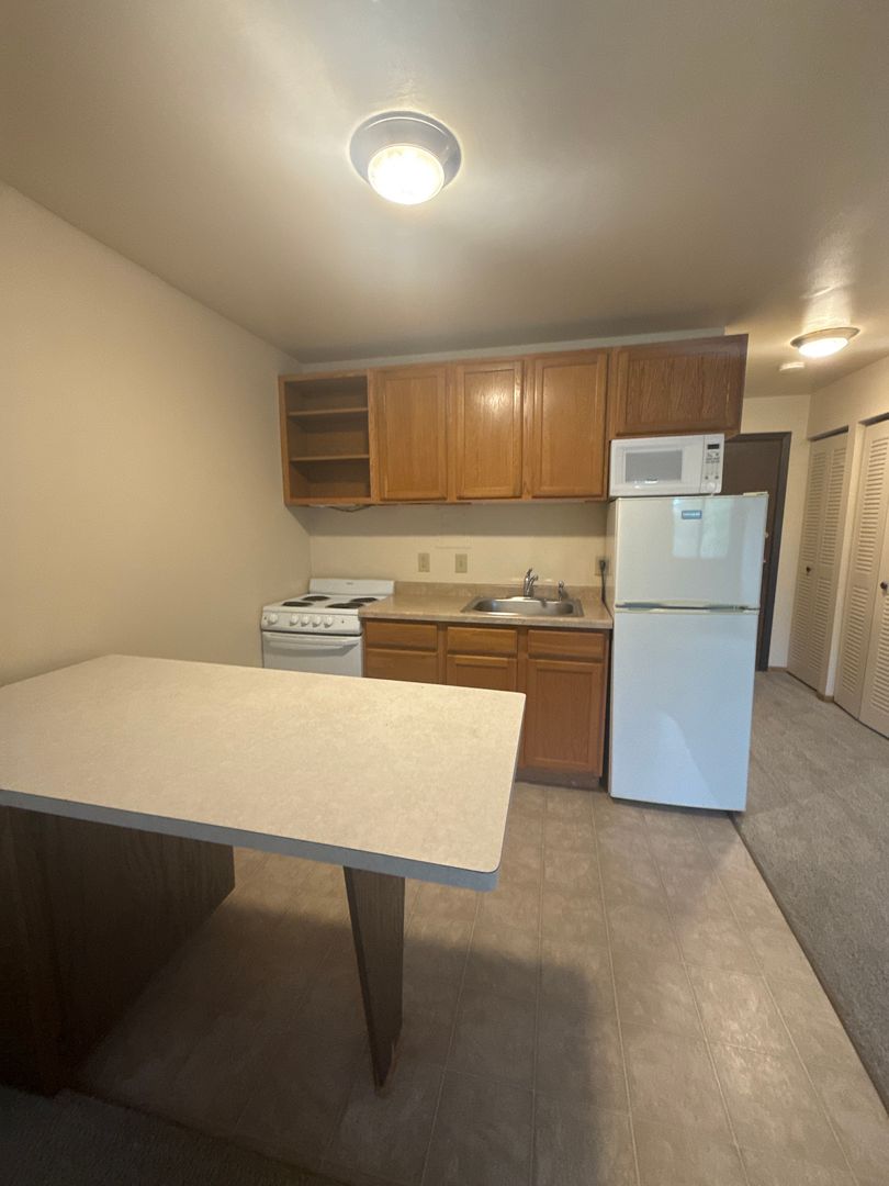 Madison Apartment: 102 N. Franklin Street