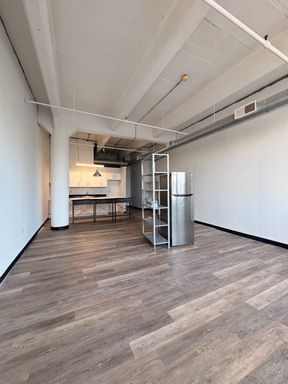 Wolf Building Brand New Large 1 Bedroom – photo 1