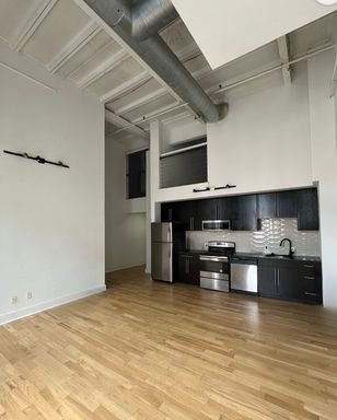 3 Bed 2 Bath Bilevel Loft Apartment – photo 1