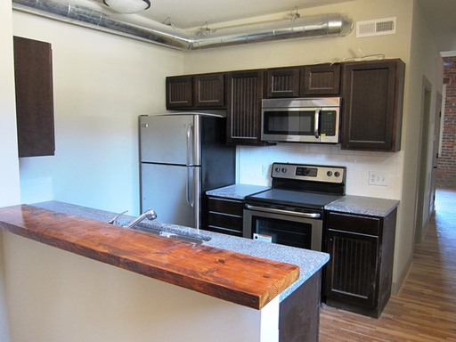 Luxury Downtown Living - 1 Bedroom at New Brick Historic Lofts