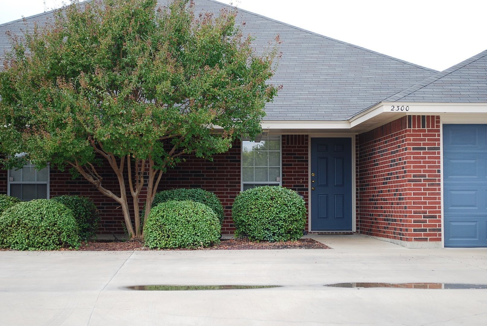 Harker Heights Apartment: 2206 Wildewood