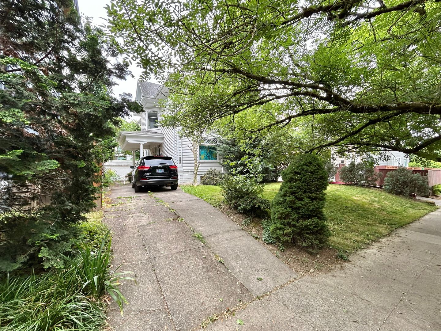 Portland Apartment: 1428 SE Madison St.