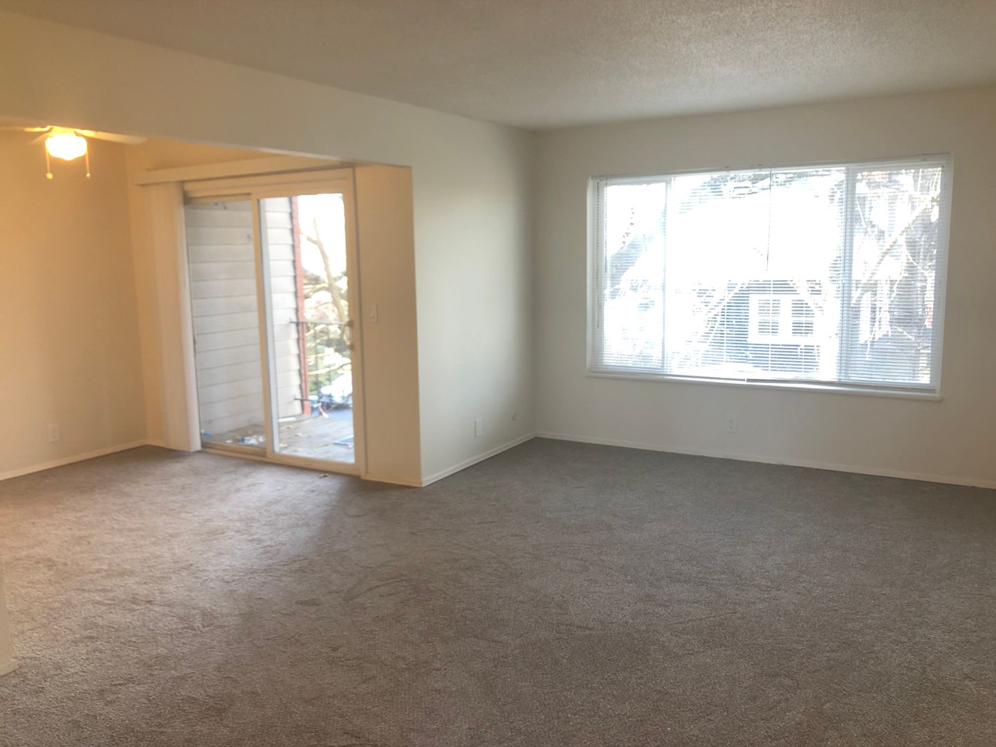 Portland Apartment: 1815 NE 15th Ave