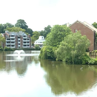 Lake View Condo - Move In Today – photo 1
