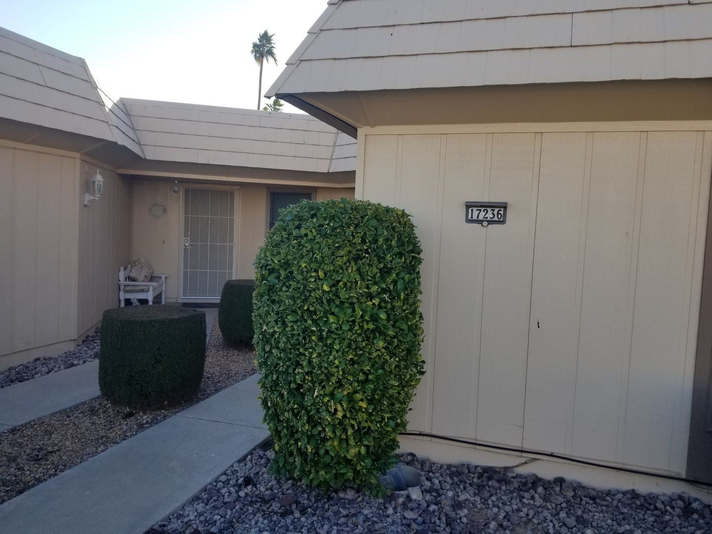 Sun City Condo: 17236 N 106th Ave