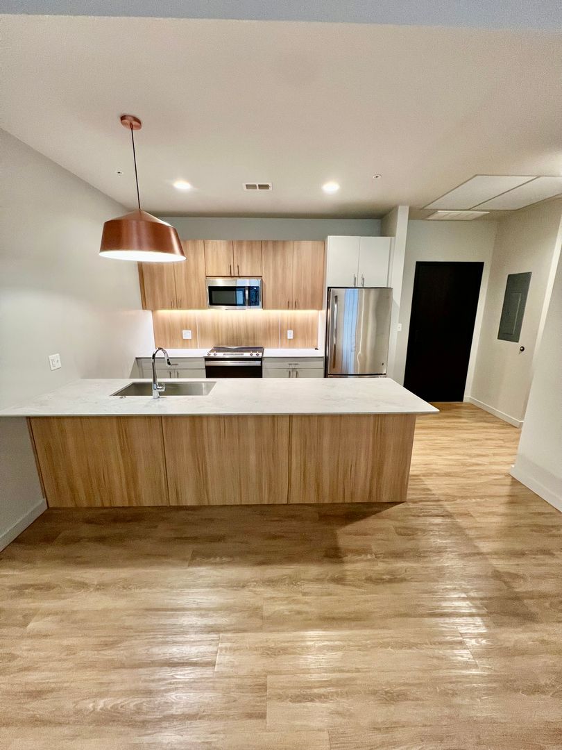 St. Louis Apartment: 2650 Locust St