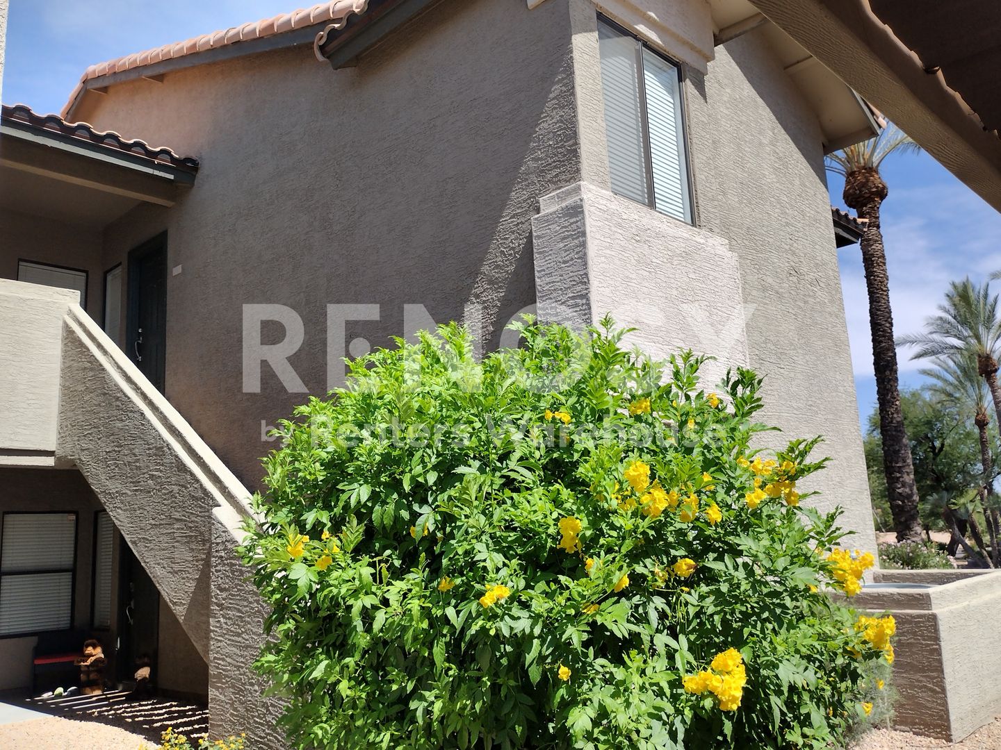 Scottsdale Condo: 9600 N 96th St