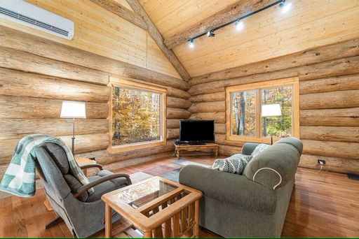 274 North Pioneer Road  - V - Stagecoach, Beulah, MI 49617