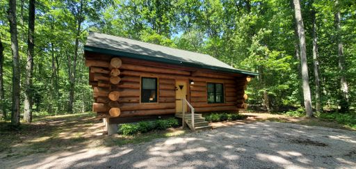 274 North Pioneer Road  - V - Stagecoach, Beulah, MI 49617