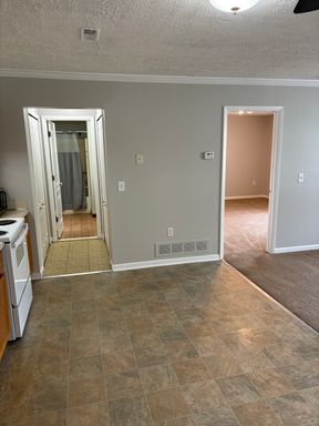 159 Bailey Street, Romeo, MI 48068