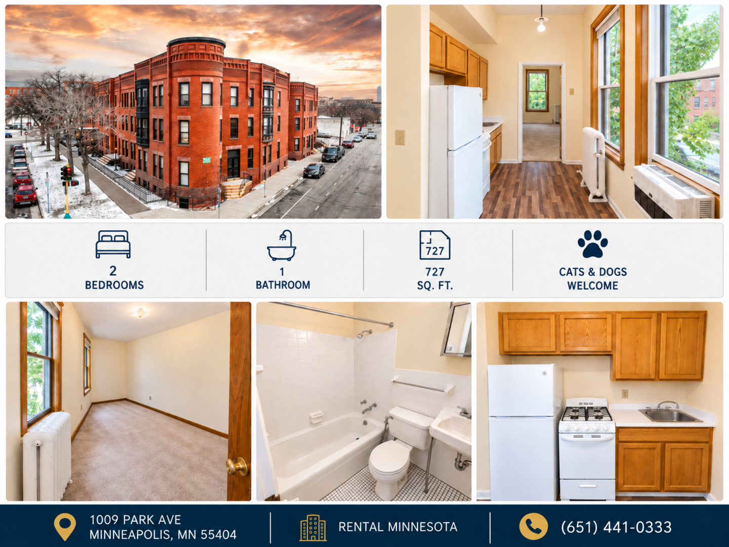 Minneapolis Apartment: 1009 Park Ave