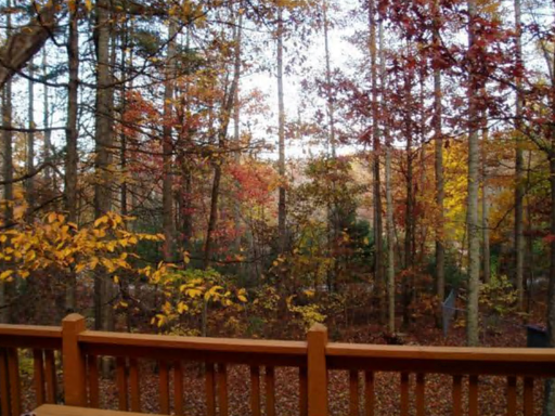 1286 Davis Mountain Road – photo 1