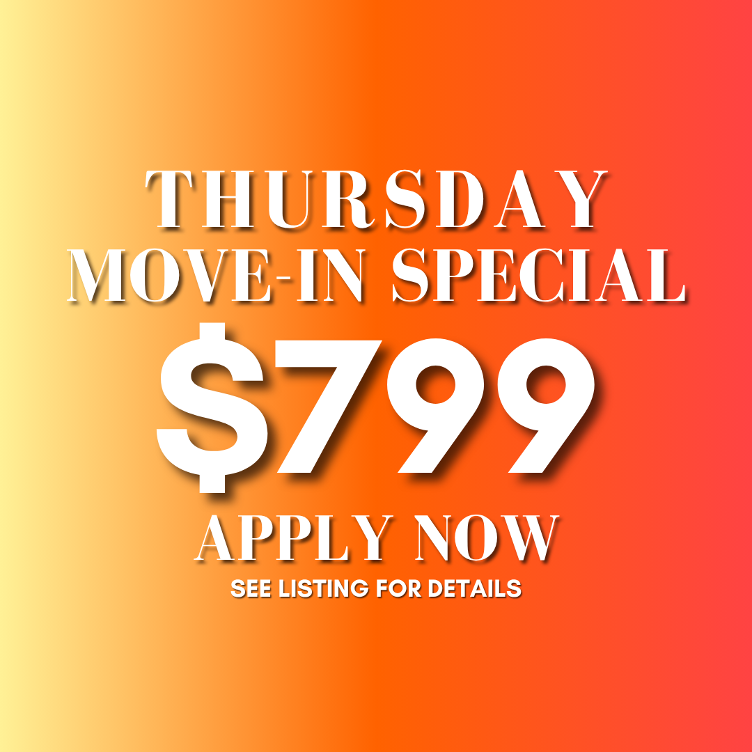 Phoenix Apartment: 10802 N 16th Ave