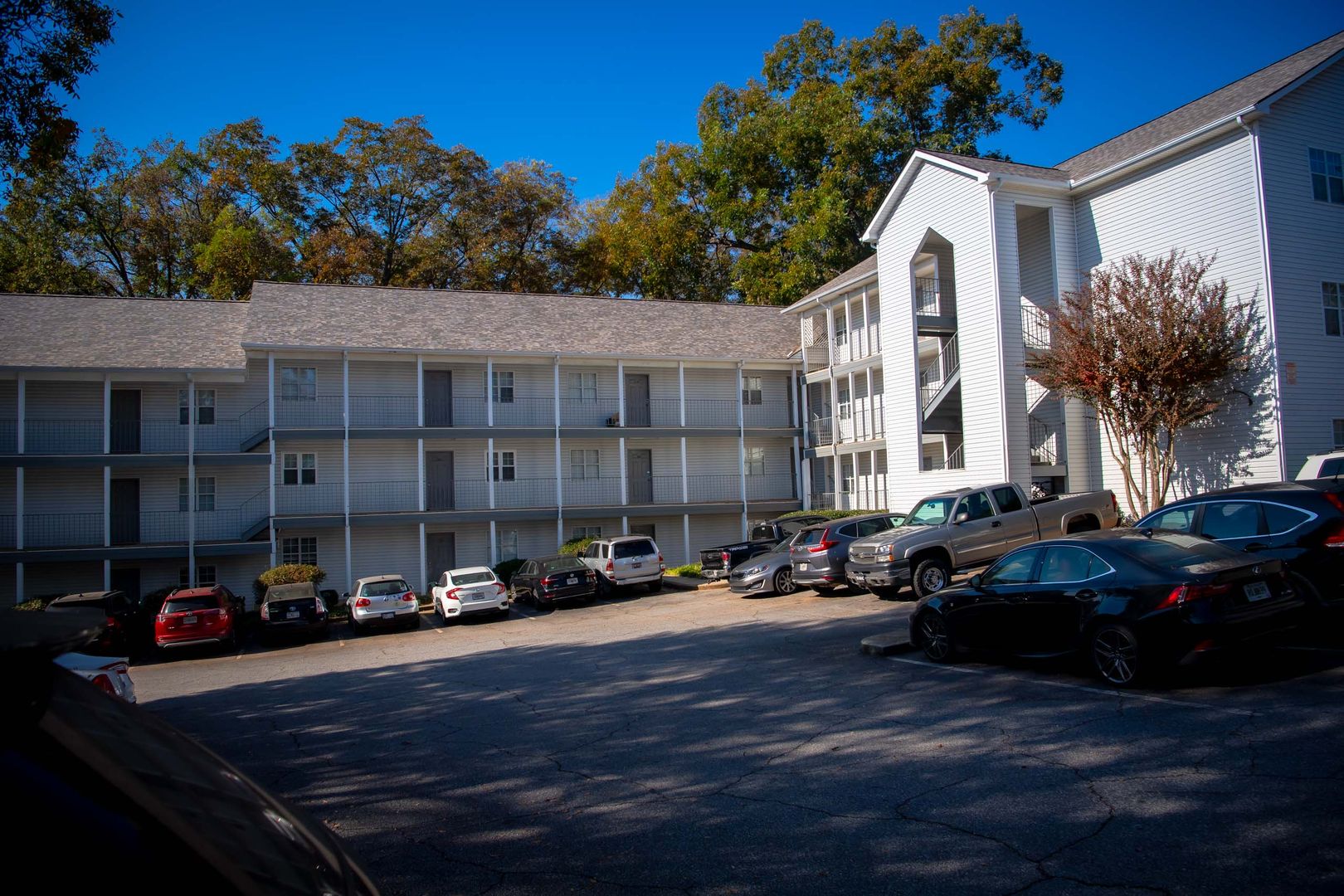 4 Bedroom Apartment in Downtown Athens - Steeplechase Condominiums 