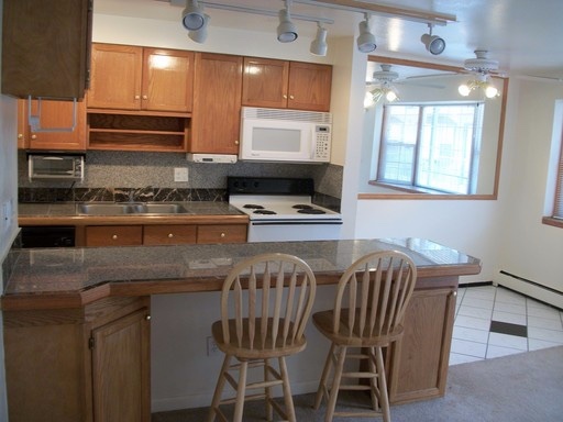 CAT-FRIENDLY 1 BD in great SoBo location AVAILABLE NOW (680-211) – photo 1