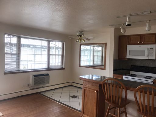 Cat-friendly, TOP FLOOR 1 BD for JANUARY PRE-LEASE (680-312) – photo 1